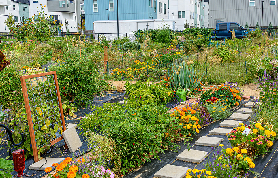 Community garden