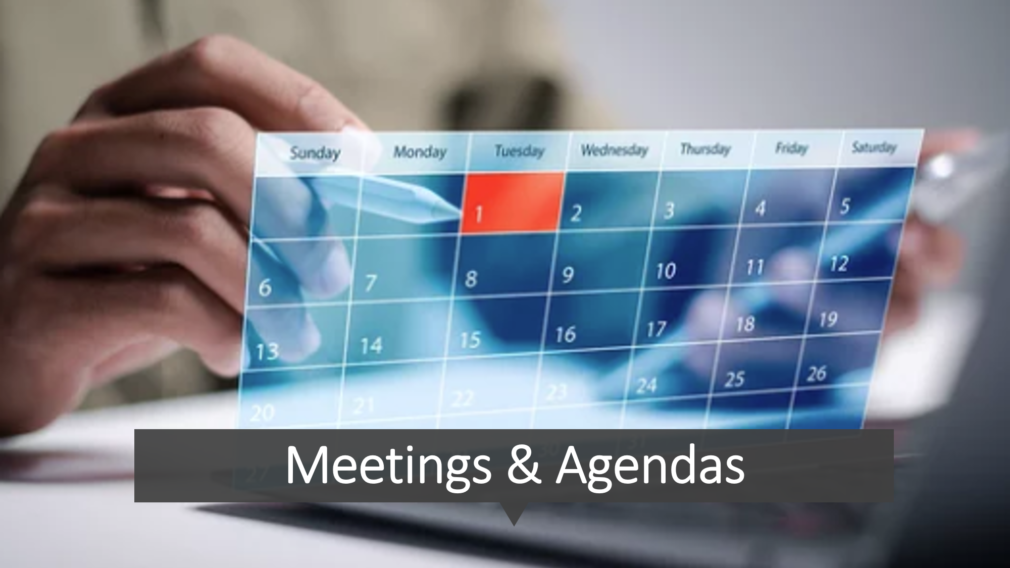 Meetings & Agendas