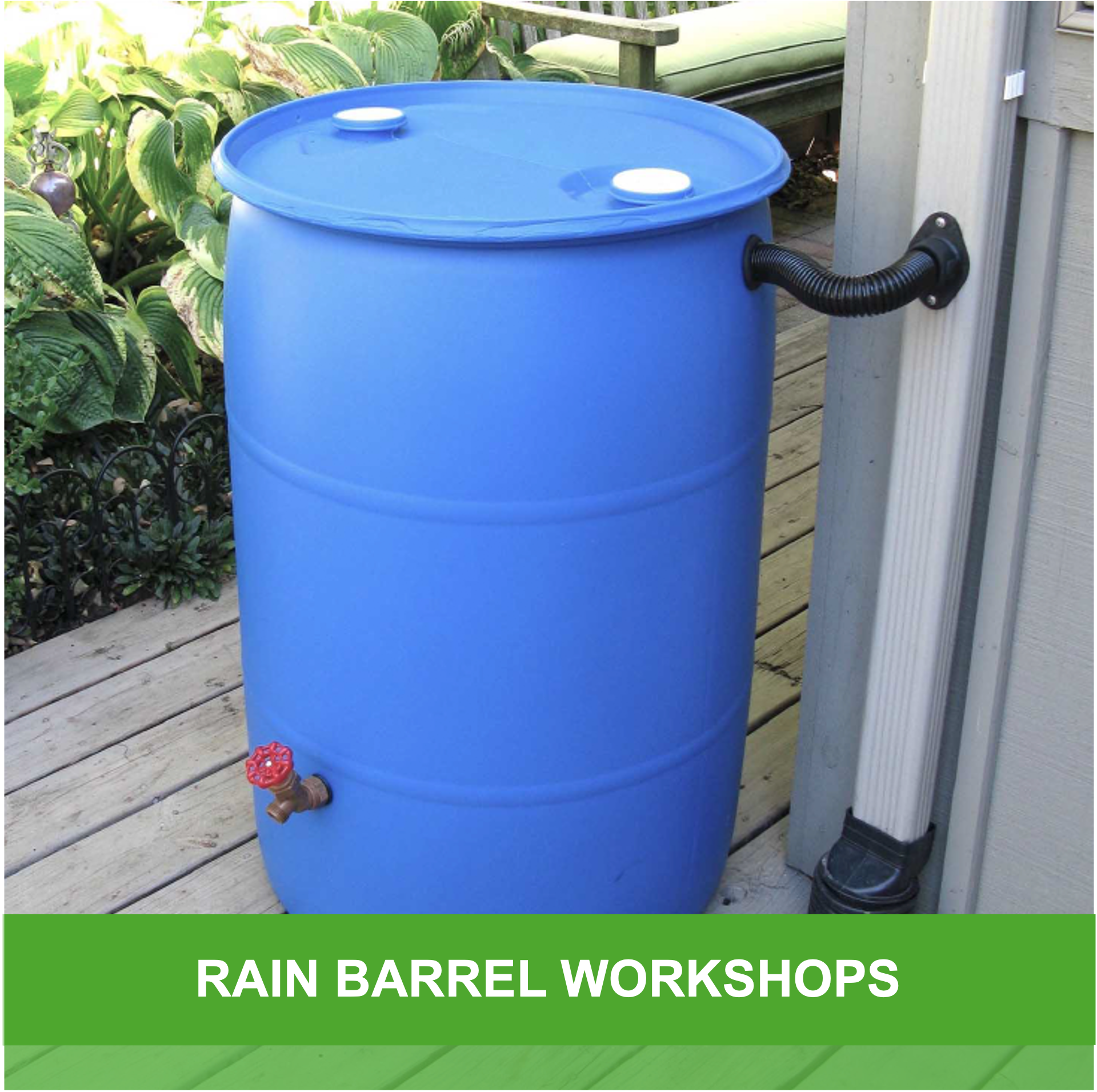 Rain Barrel Workshop