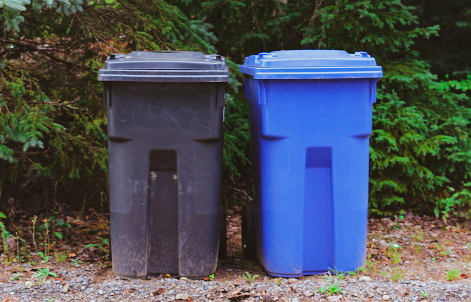 Trash bin and recycling bin