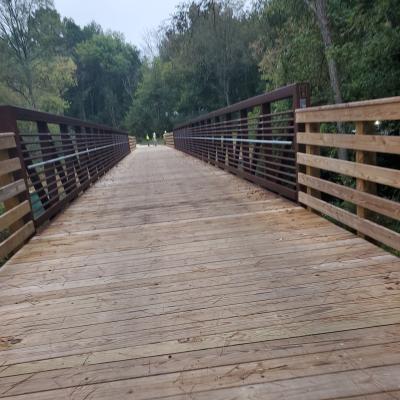 A wooden bridge with sturdy railings stretches into a forest, surrounded by lush green trees, creating a peaceful and serene atmosphere.