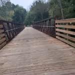 A wooden bridge with sturdy railings stretches into a forest, surrounded by lush green trees, creating a peaceful and serene atmosphere.