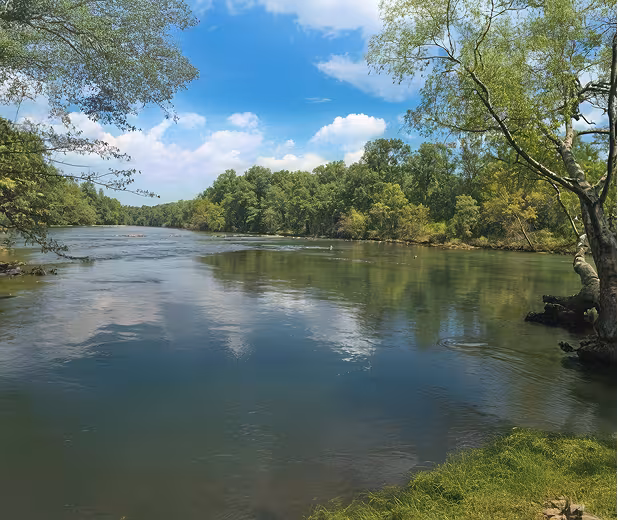 A landscape photo of a still lake surrounded by large trees and forest greenery with a cloudy blue sky.