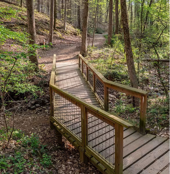 A wooden bridge with wire railings spans a small stream in a lush forest. Sunlight filters through trees, highlighting the winding dirt path ahead.
