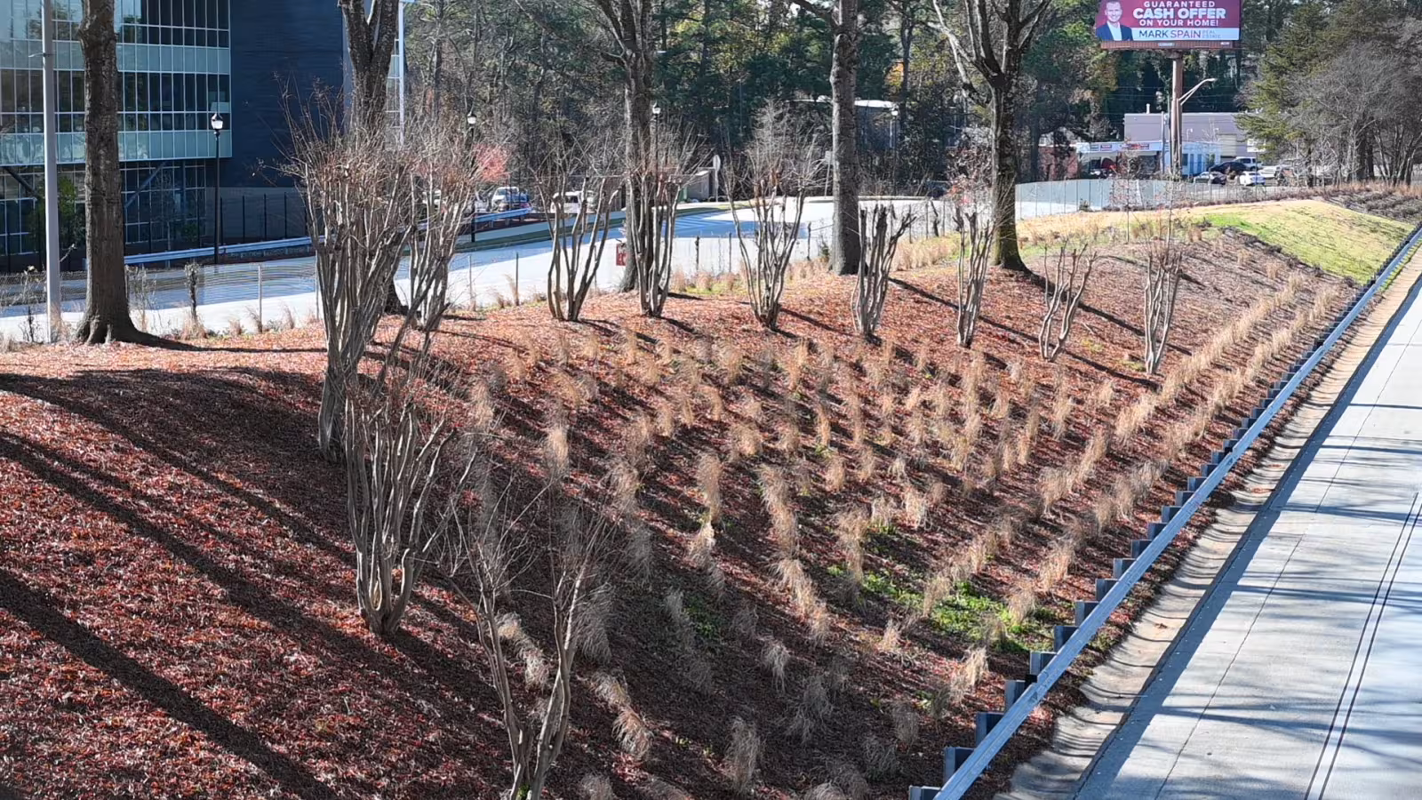 A sloped urban landscape with rows of bare trees and planted grass, bordered by a road and modern building. Shadows and muted colors suggest a calm, winter scene.