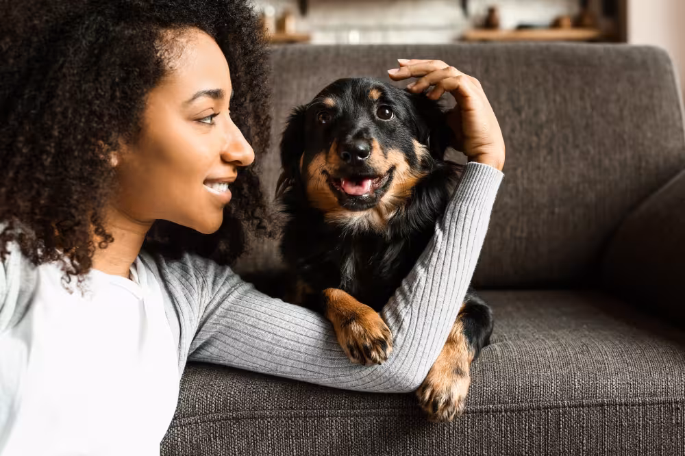 A woman and a black and tan dog sit on a gray sofa. She smiles warmly at the dog, who looks happy and relaxed, conveying a sense of friendship.