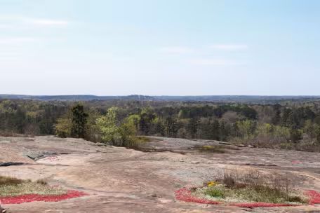 A vast rocky landscape extends under a bright sky, with scattered greenery and distant forests. Red patches of earth contrast against the stone.