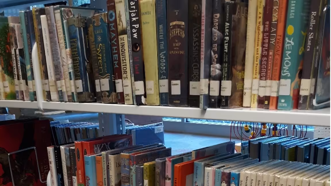 A well-organized library shelf filled with colorful children’s and young adult books. The bright covers and varied titles create an inviting, cheerful atmosphere.