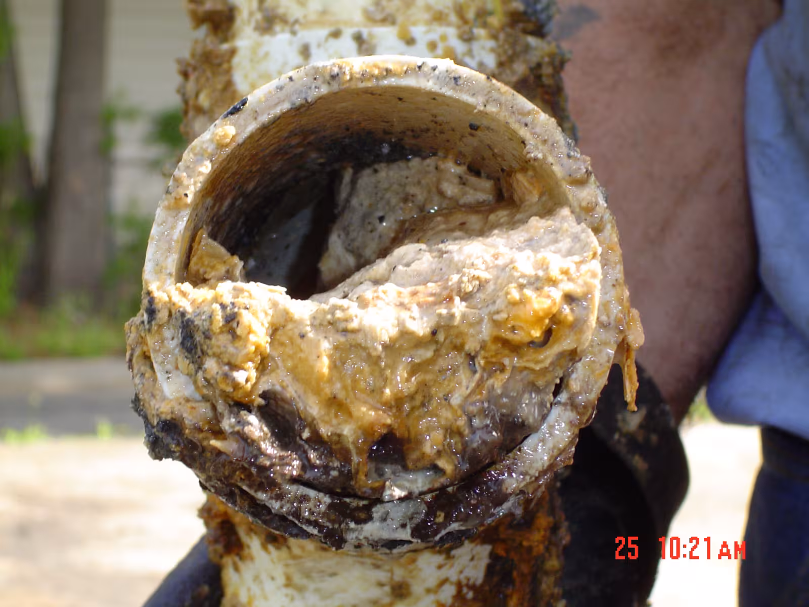 Close-up of a clogged pipe filled with a thick buildup of grease and debris, held by a gloved hand outdoors.