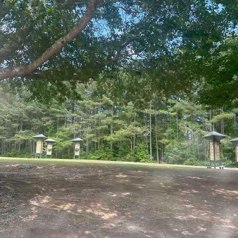 Wade Walker Park