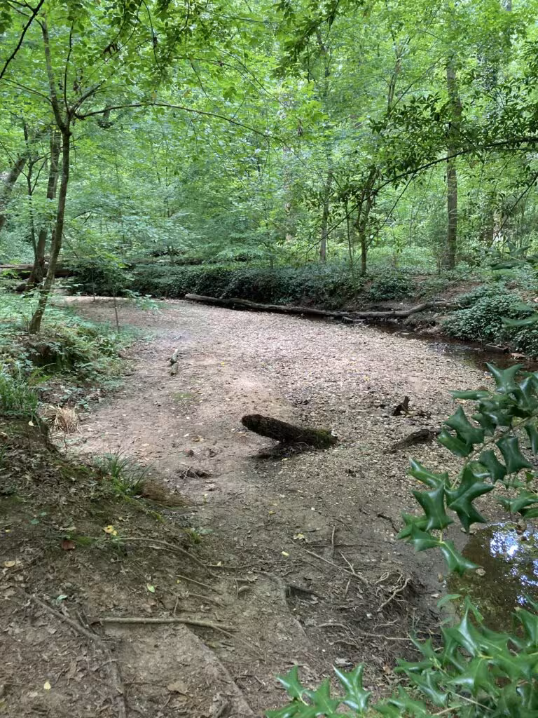 Mary Scott Park