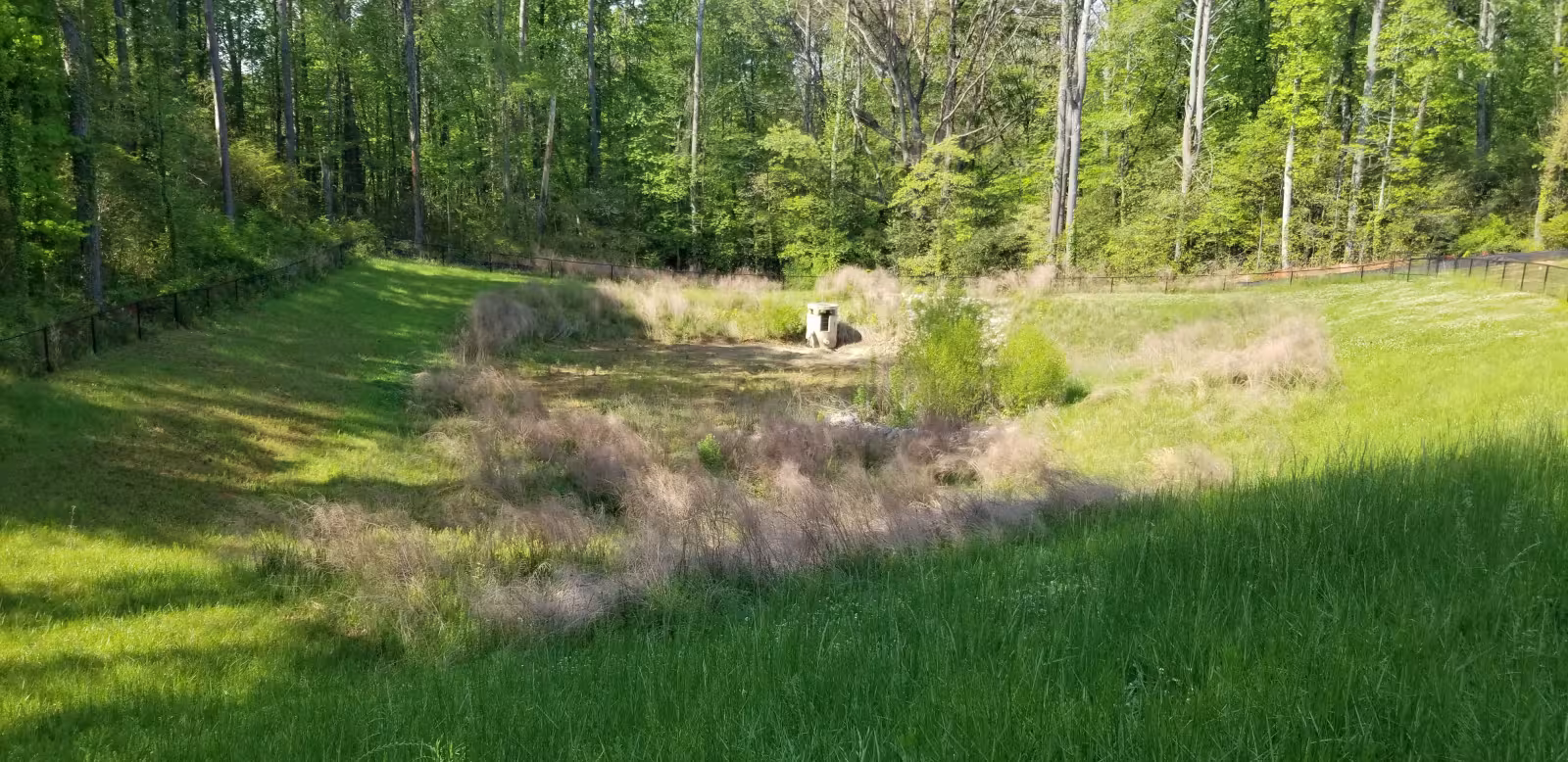 Grassed stormwater retention basin with tall vegetation in the center and a concrete outlet structure near the back, bordered by trees.