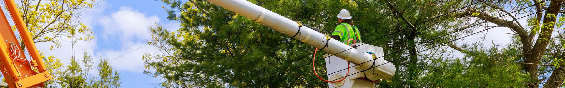 DeKalb County workers trimming trees to keep DeKalb County safe and beautiful.