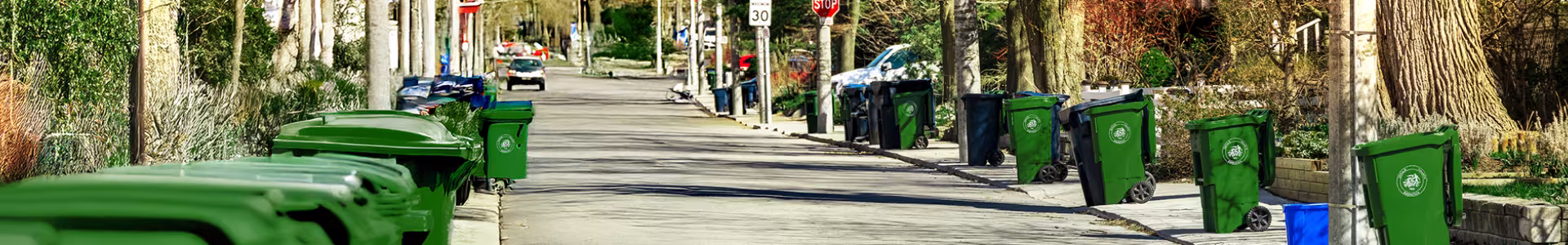Photo looking down a streak, lined with green recycling cans and trees that line the road.