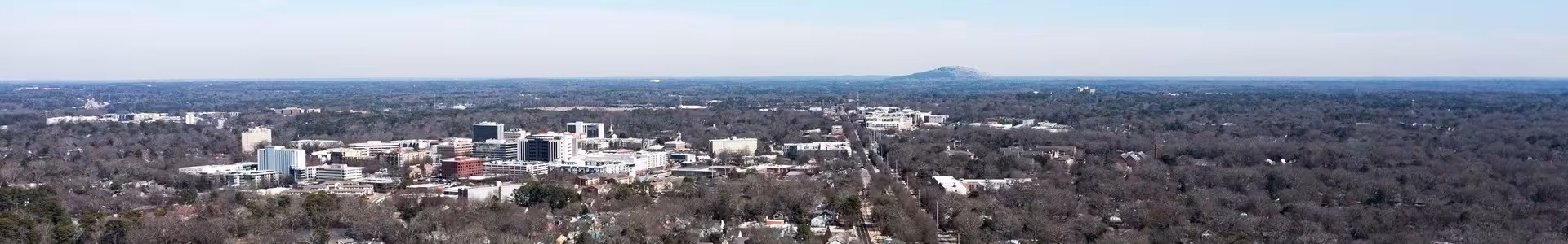 Aerial view of a city skyline with low-rise buildings surrounded by dense trees. A distant mountain sits beneath a clear blue sky, creating a serene scene.