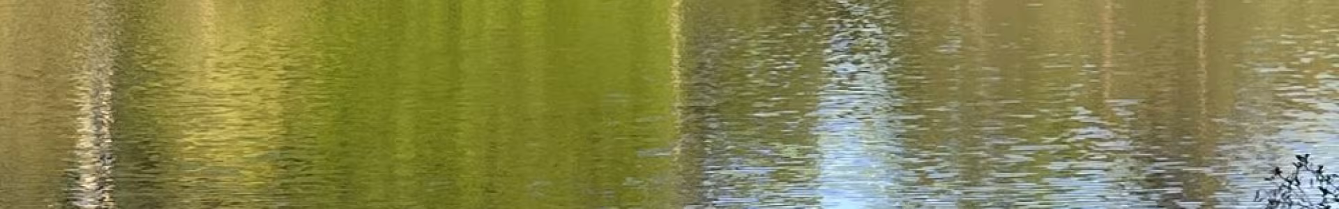 DeKalb Park on a lake